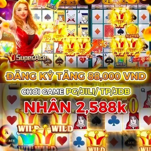 vipwin